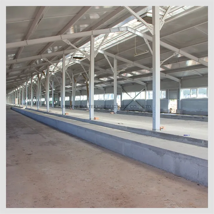 Steel Structure Pig Farm